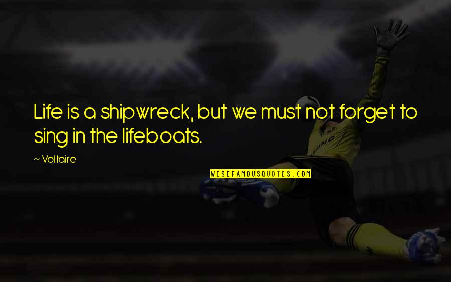 Shipwreck Best Quotes By Voltaire: Life is a shipwreck, but we must not