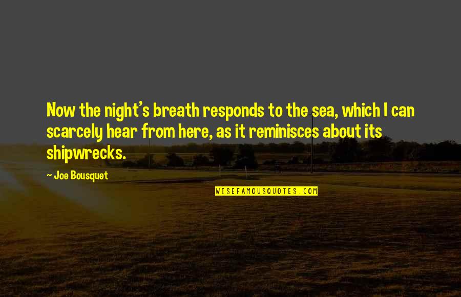 Shipwrecks Quotes By Joe Bousquet: Now the night's breath responds to the sea,