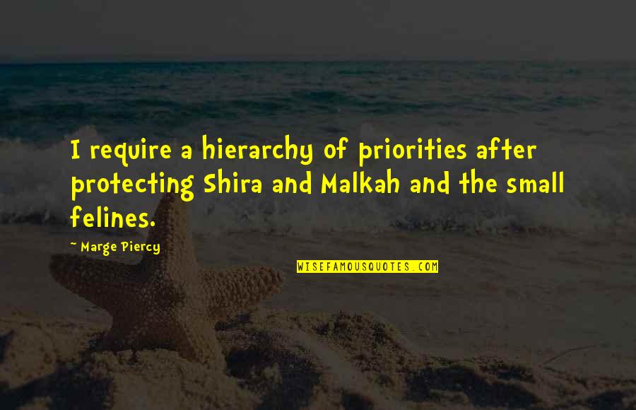 Shira Quotes By Marge Piercy: I require a hierarchy of priorities after protecting