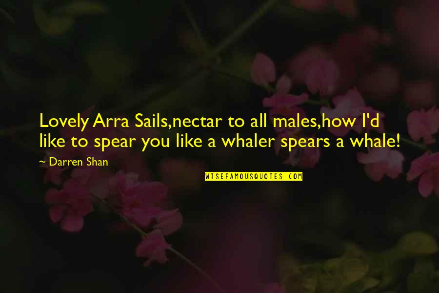 Shirakaba Nozawa Quotes By Darren Shan: Lovely Arra Sails,nectar to all males,how I'd like