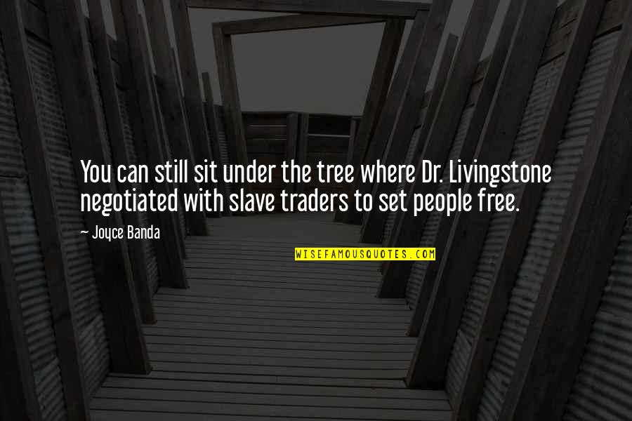 Shire Baggins Quotes By Joyce Banda: You can still sit under the tree where Shire Baggins Quotes By Joyce Banda: You can still sit under the tree where
