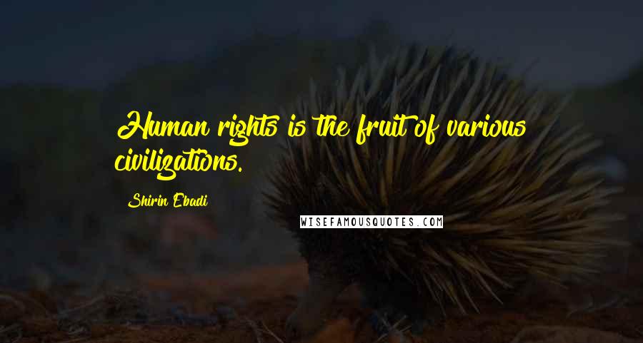 Shirin Ebadi quotes: Human rights is the fruit of various civilizations.