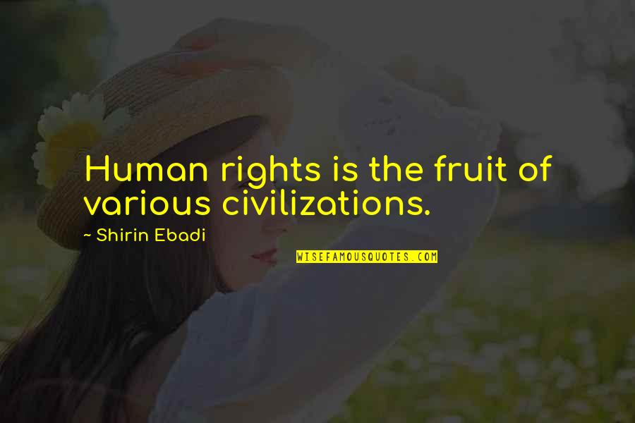 Shirin Ebadi Quotes By Shirin Ebadi: Human rights is the fruit of various civilizations.