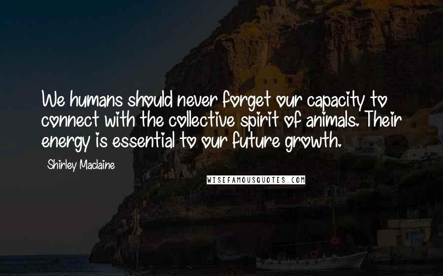 Shirley Maclaine quotes: We humans should never forget our capacity to connect with the collective spirit of animals. Their energy is essential to our future growth. Shirley Maclaine quotes: We humans should never forget our capacity to connect with the collective spirit of animals. Their energy is essential to our future growth.