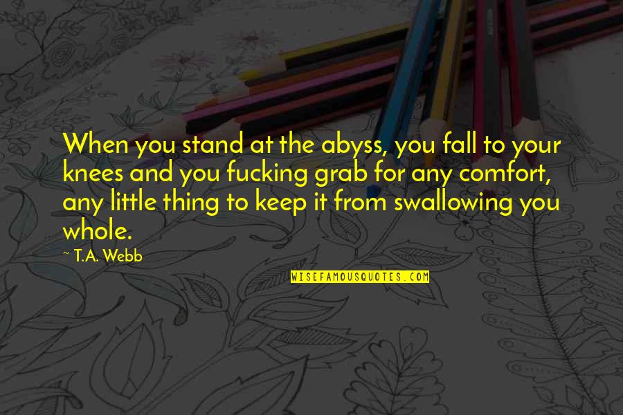 Shironamhin Quotes By T.A. Webb: When you stand at the abyss, you fall