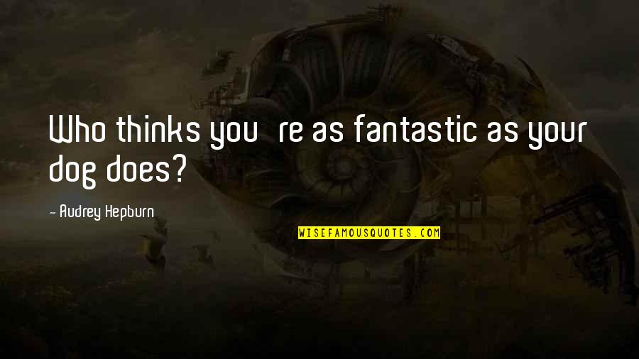 Shirriff Potato Quotes By Audrey Hepburn: Who thinks you're as fantastic as your dog Shirriff Potato Quotes By Audrey Hepburn: Who thinks you're as fantastic as your dog