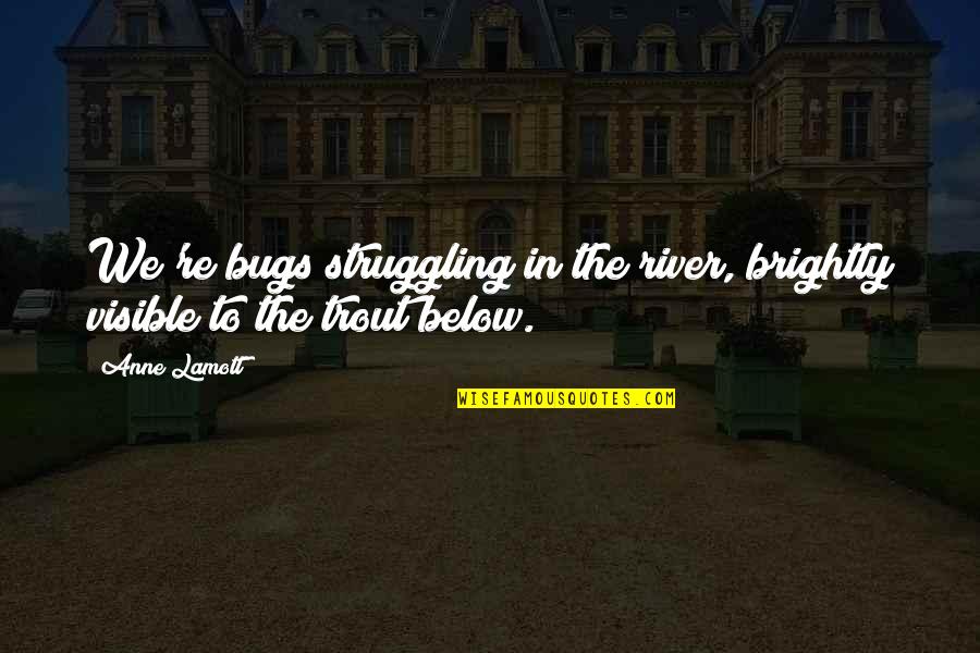 Shitits Quotes By Anne Lamott: We're bugs struggling in the river, brightly visible