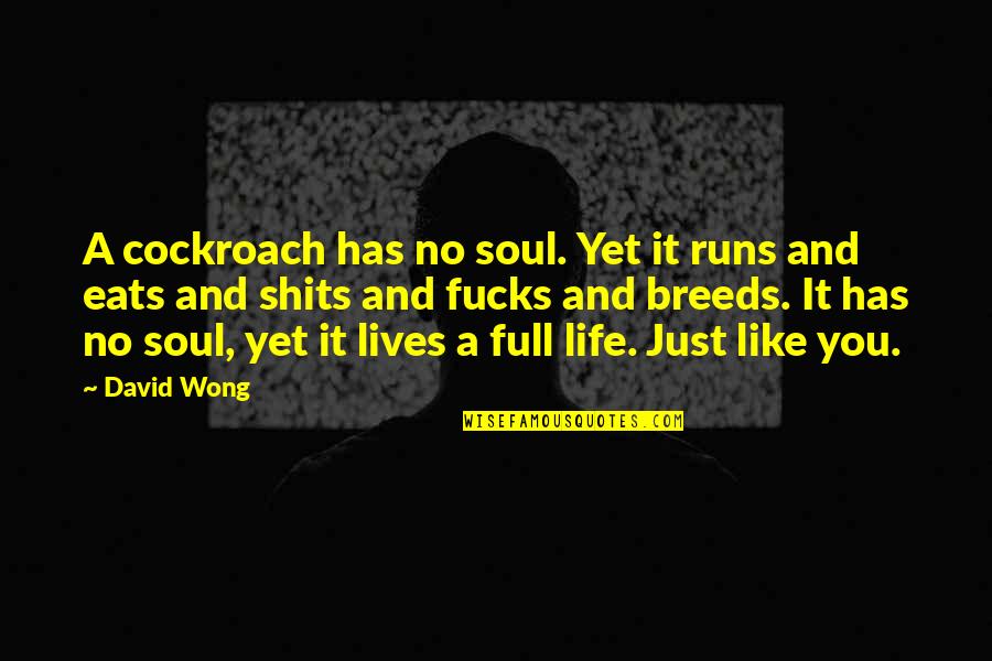 Shits Quotes By David Wong: A cockroach has no soul. Yet it runs