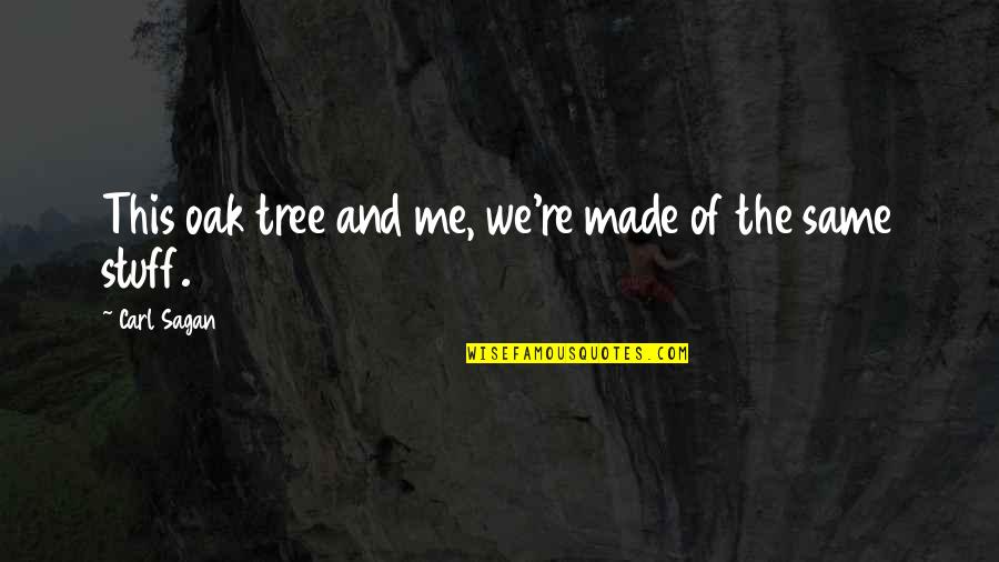 Shivalinga Quotes By Carl Sagan: This oak tree and me, we're made of Shivalinga Quotes By Carl Sagan: This oak tree and me, we're made of