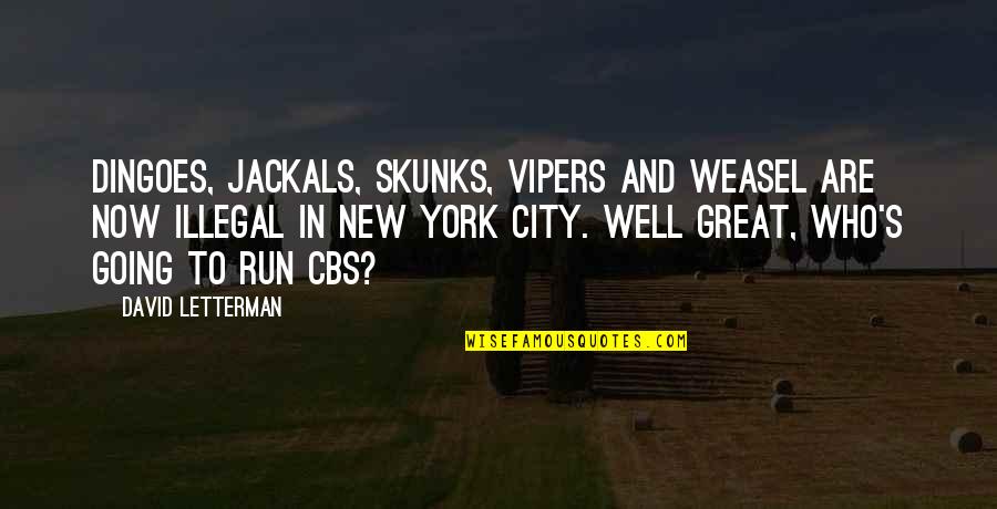 Shivani Jagessar Quotes By David Letterman: Dingoes, jackals, skunks, vipers and weasel are now Shivani Jagessar Quotes By David Letterman: Dingoes, jackals, skunks, vipers and weasel are now