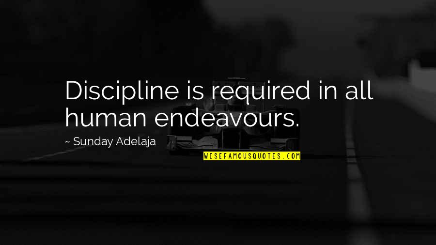 Shivarama Karanth Quotes By Sunday Adelaja: Discipline is required in all human endeavours.