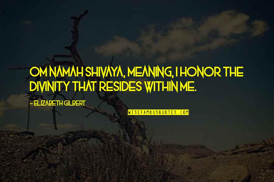 Shivaya Quotes By Elizabeth Gilbert: Om Namah Shivaya, meaning, I honor the divinity