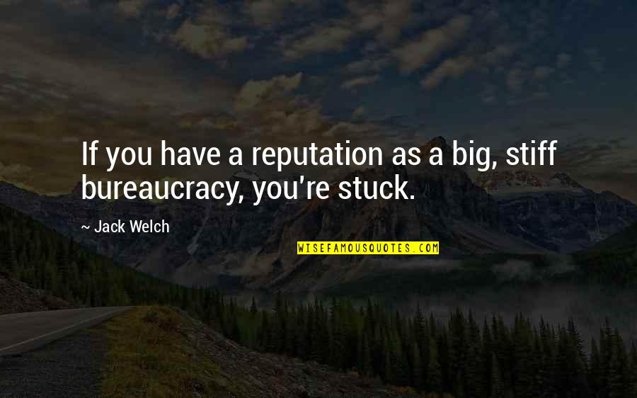 Shiver Me Timbers Quote Quotes By Jack Welch: If you have a reputation as a big,