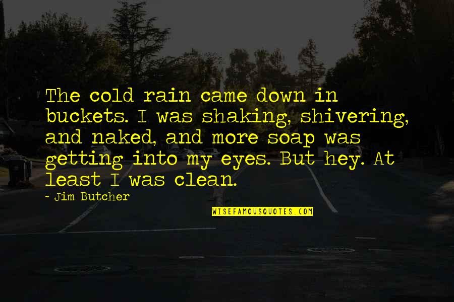 Shivering Quotes By Jim Butcher: The cold rain came down in buckets. I