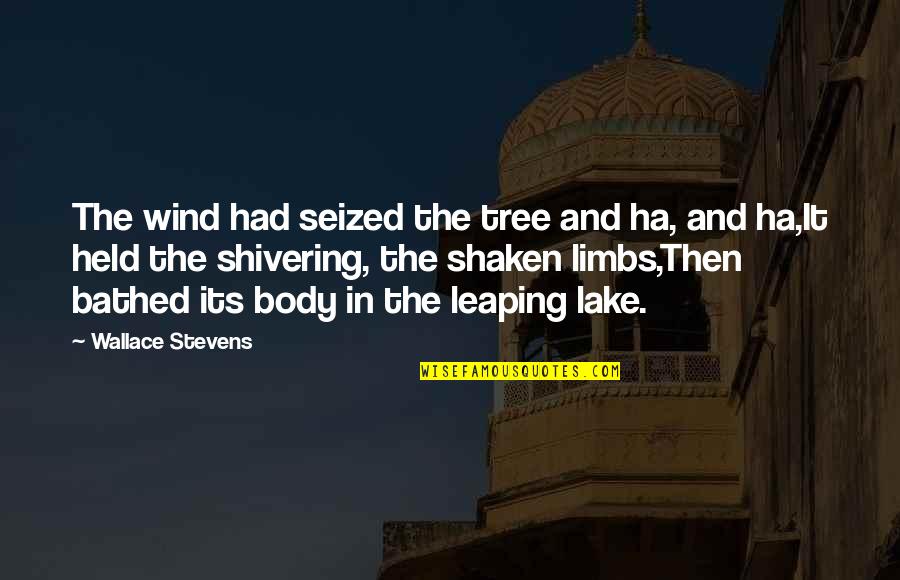 Shivering Quotes By Wallace Stevens: The wind had seized the tree and ha,