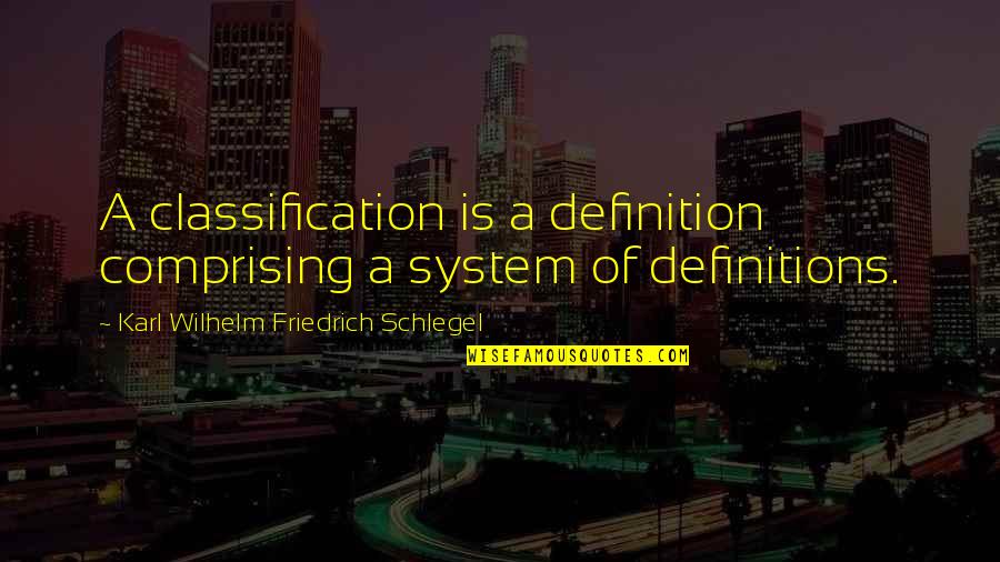 Shizuo Durarara Quotes By Karl Wilhelm Friedrich Schlegel: A classification is a definition comprising a system