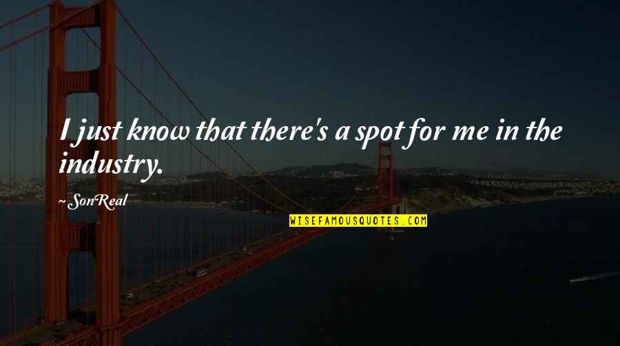 Shizzo Production Quotes By SonReal: I just know that there's a spot for