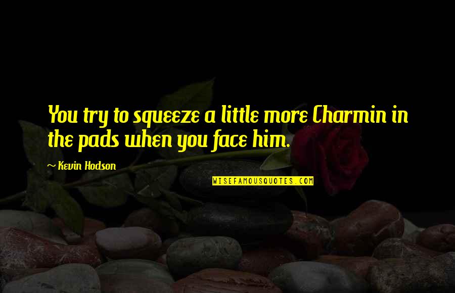 Shklovsky Art Quotes By Kevin Hodson: You try to squeeze a little more Charmin