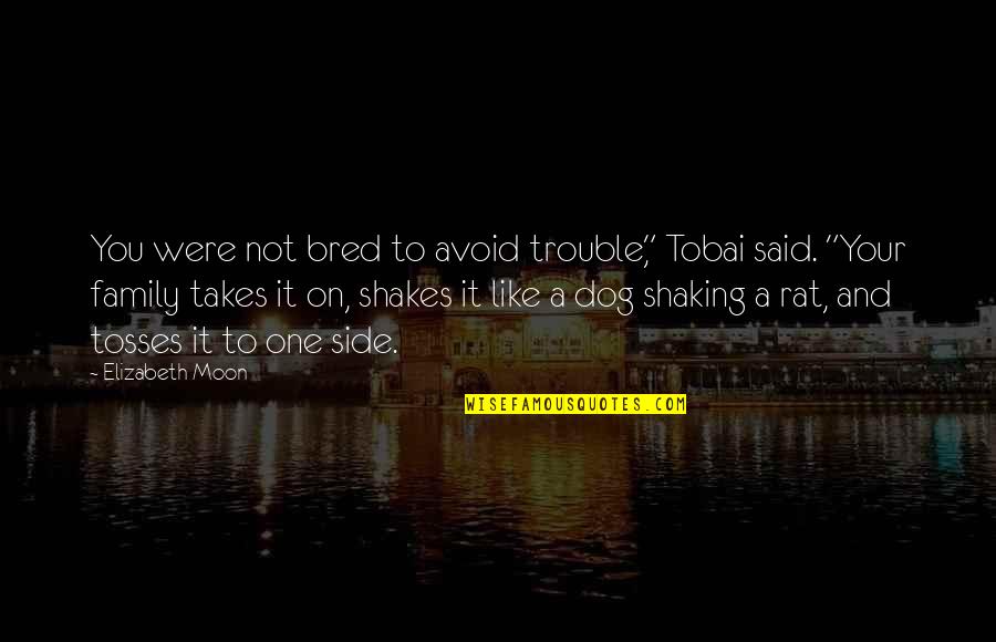 Shkodra Quotes By Elizabeth Moon: You were not bred to avoid trouble," Tobai