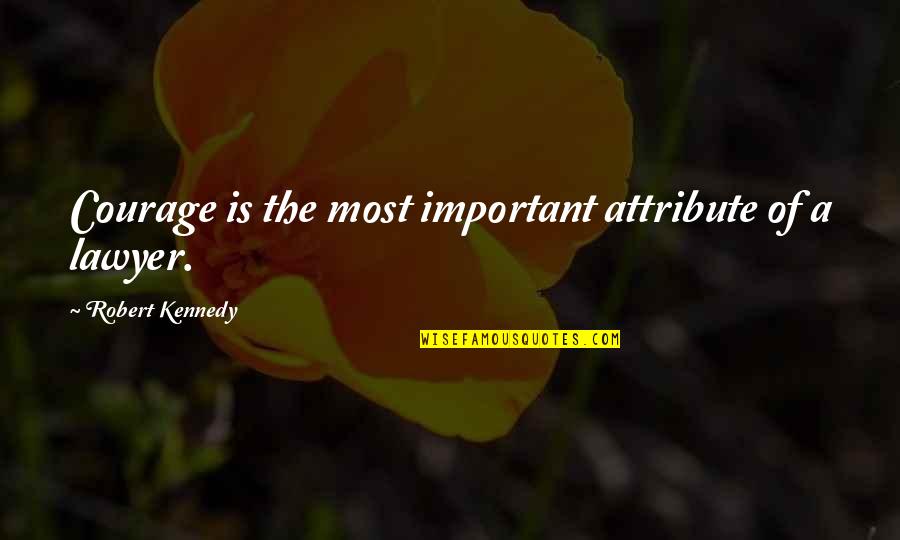 Shmee Quotes By Robert Kennedy: Courage is the most important attribute of a