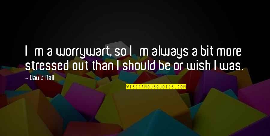 Shmoop Arcadia Quotes By David Nail: I'm a worrywart, so I'm always a bit