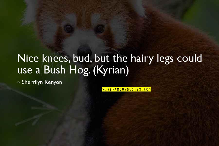 Shmp Quotes By Sherrilyn Kenyon: Nice knees, bud, but the hairy legs could Shmp Quotes By Sherrilyn Kenyon: Nice knees, bud, but the hairy legs could