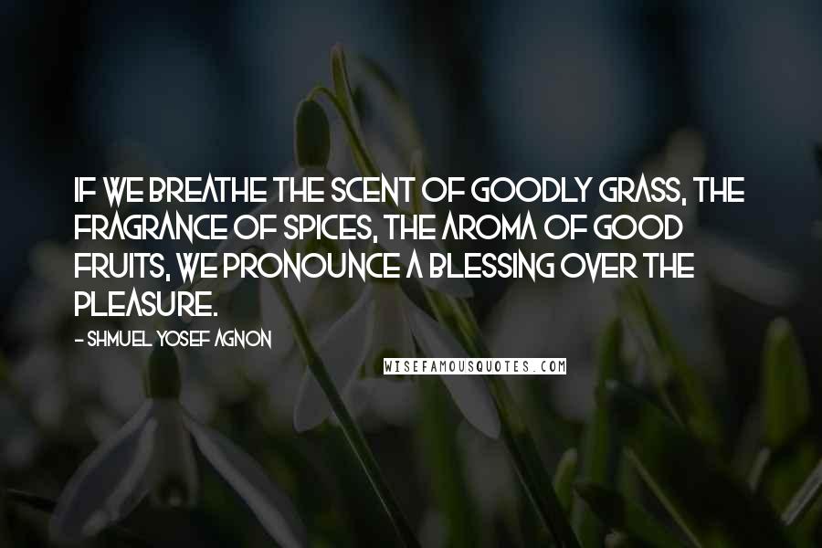Shmuel Yosef Agnon quotes: If we breathe the scent of goodly grass, the fragrance of spices, the aroma of good fruits, we pronounce a blessing over the pleasure.