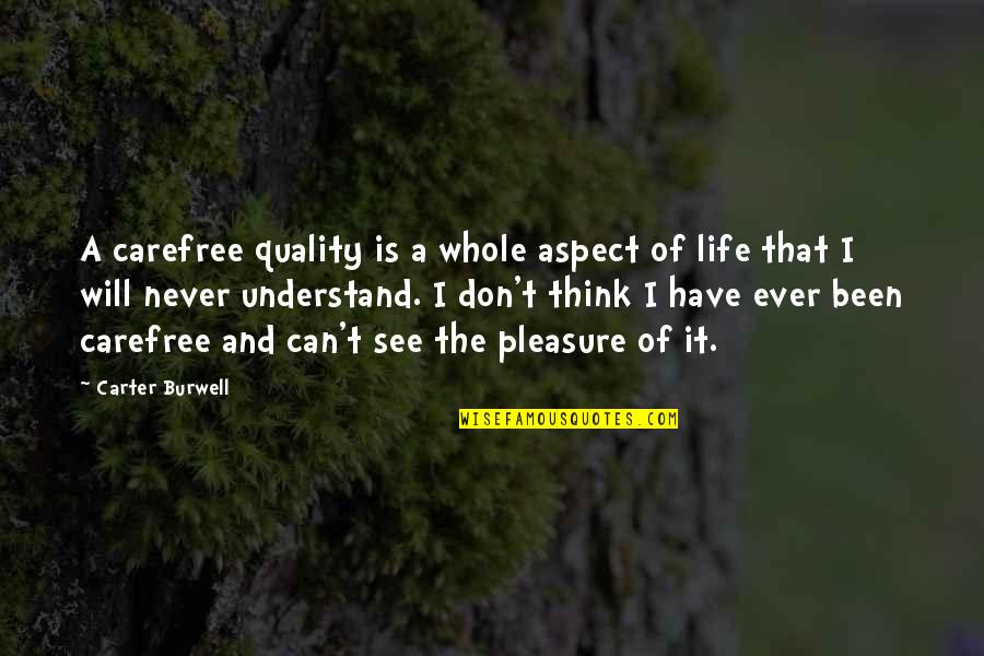 Shnei Quotes By Carter Burwell: A carefree quality is a whole aspect of Shnei Quotes By Carter Burwell: A carefree quality is a whole aspect of