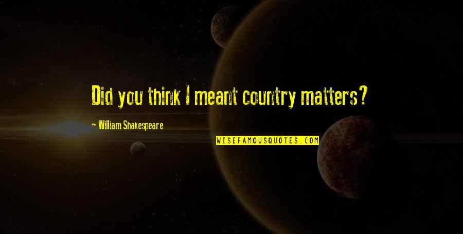 Shneidman Suicide Quotes By William Shakespeare: Did you think I meant country matters? Shneidman Suicide Quotes By William Shakespeare: Did you think I meant country matters?