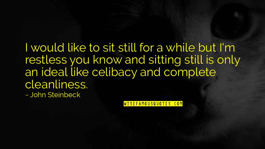 Shobhit Rastogi Quotes By John Steinbeck: I would like to sit still for a Shobhit Rastogi Quotes By John Steinbeck: I would like to sit still for a