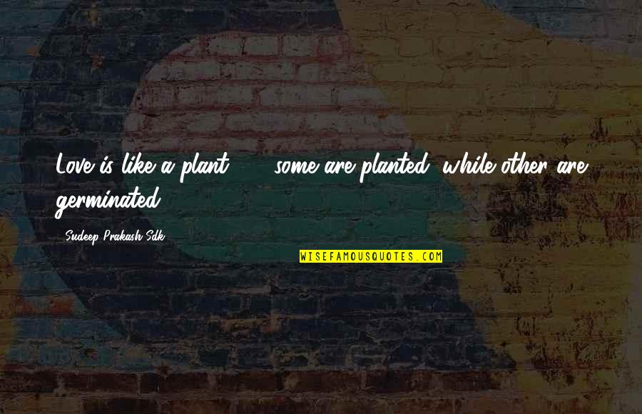Shockwaves Quotes By Sudeep Prakash Sdk: Love is like a plant ... ; some