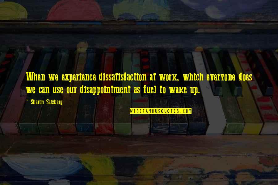 Shoe Designer Quotes By Sharon Salzberg: When we experience dissatisfaction at work, which everyone Shoe Designer Quotes By Sharon Salzberg: When we experience dissatisfaction at work, which everyone