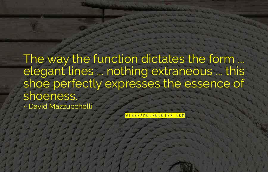 Shoeness Quotes By David Mazzucchelli: The way the function dictates the form ...