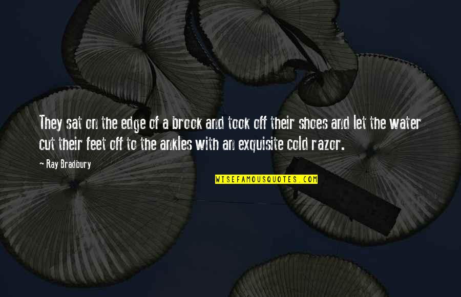 Shoes And Feet Quotes By Ray Bradbury: They sat on the edge of a brook