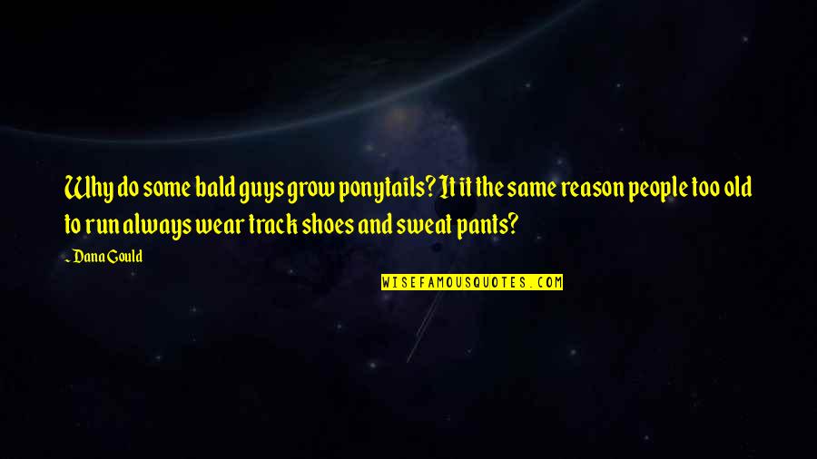 Shoes Run Quotes By Dana Gould: Why do some bald guys grow ponytails? It Shoes Run Quotes By Dana Gould: Why do some bald guys grow ponytails? It