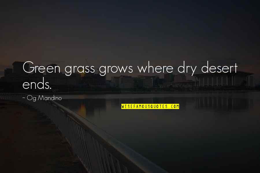 Shogher Nalbandian Quotes By Og Mandino: Green grass grows where dry desert ends.