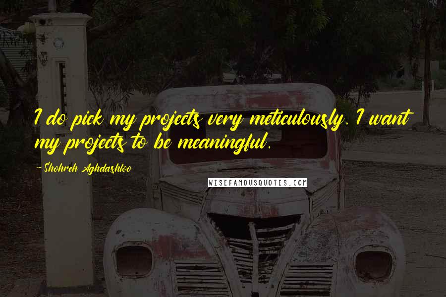 Shohreh Aghdashloo quotes: I do pick my projects very meticulously. I want my projects to be meaningful.