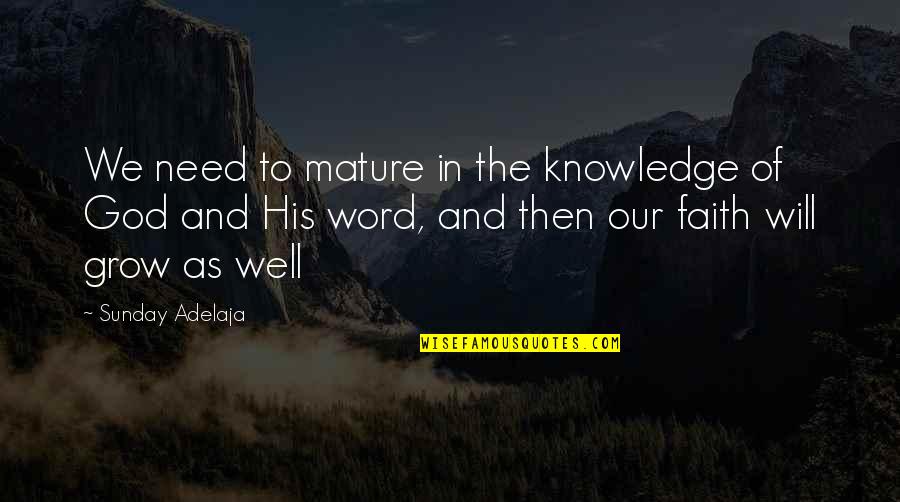 Shoichet Quotes By Sunday Adelaja: We need to mature in the knowledge of