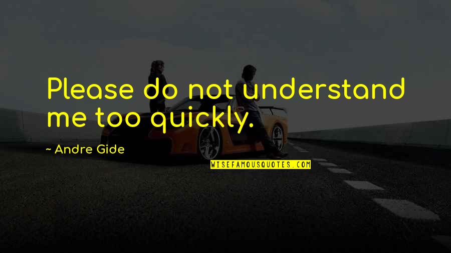 Shoker D Quotes By Andre Gide: Please do not understand me too quickly.