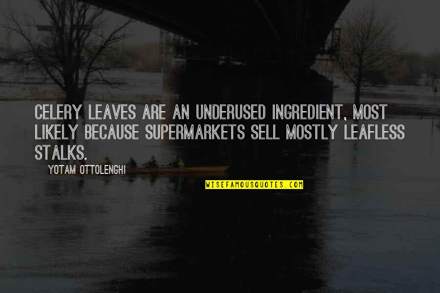 Shokolo Quotes By Yotam Ottolenghi: Celery leaves are an underused ingredient, most likely Shokolo Quotes By Yotam Ottolenghi: Celery leaves are an underused ingredient, most likely
