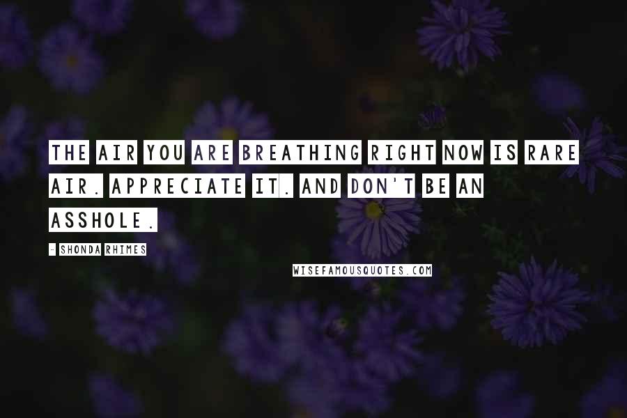 Shonda Rhimes quotes: the air you are breathing right now is rare air. Appreciate it. And don't be an asshole.