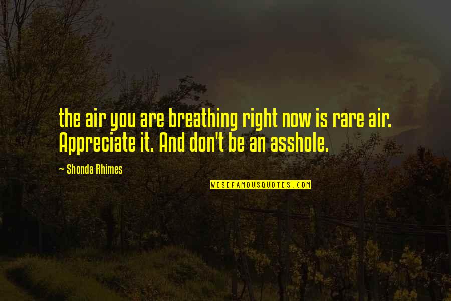 Shonda Rhimes Quotes By Shonda Rhimes: the air you are breathing right now is
