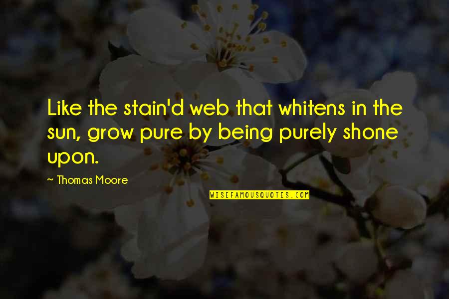 Shone Quotes By Thomas Moore: Like the stain'd web that whitens in the