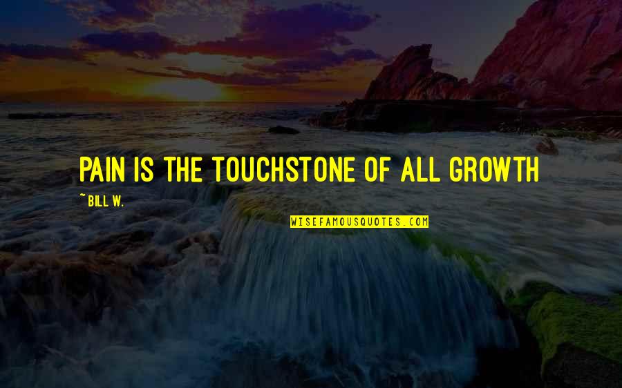 Shonka Group Quotes By Bill W.: Pain is the touchstone of all growth