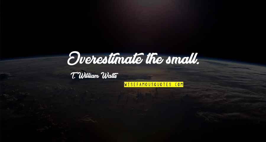 Shonkin Quotes By T. William Watts: Overestimate the small. Shonkin Quotes By T. William Watts: Overestimate the small.