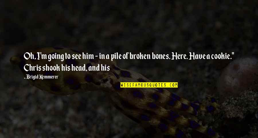 Shook Quotes By Brigid Kemmerer: Oh, I'm going to see him - in