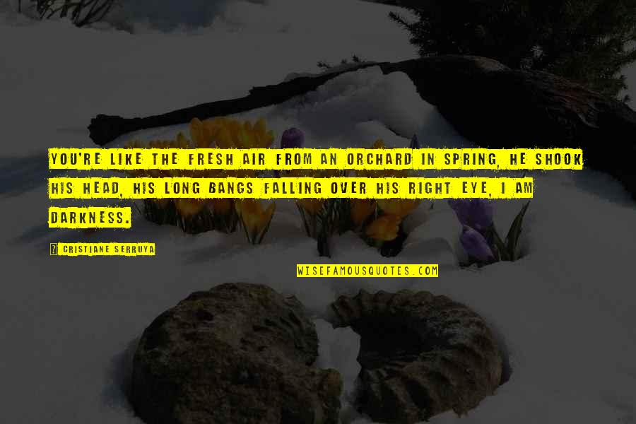 Shook Quotes By Cristiane Serruya: You're like the fresh air from an orchard Shook Quotes By Cristiane Serruya: You're like the fresh air from an orchard