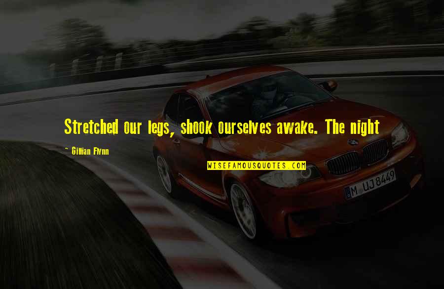 Shook Quotes By Gillian Flynn: Stretched our legs, shook ourselves awake. The night Shook Quotes By Gillian Flynn: Stretched our legs, shook ourselves awake. The night