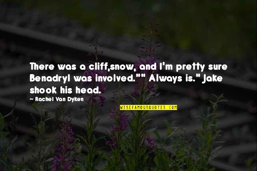 Shook Quotes By Rachel Van Dyken: There was a cliff,snow, and I'm pretty sure