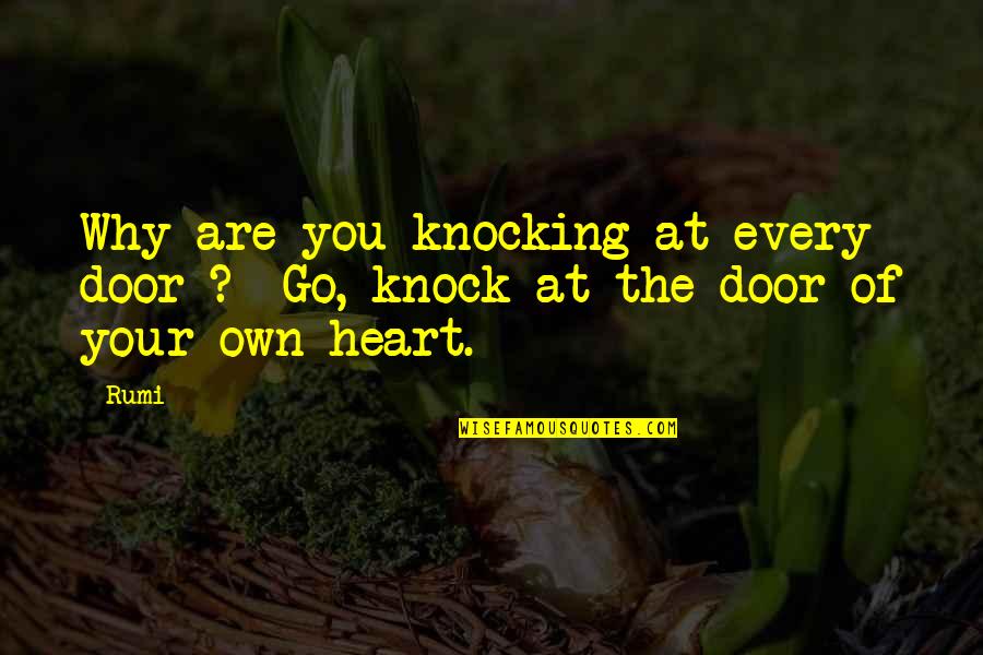 Shoon Quotes By Rumi: Why are you knocking at every door ?